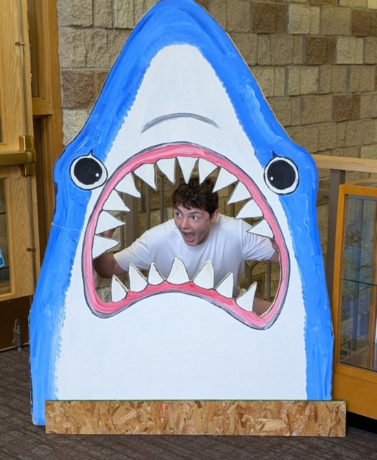 0816a.jpg